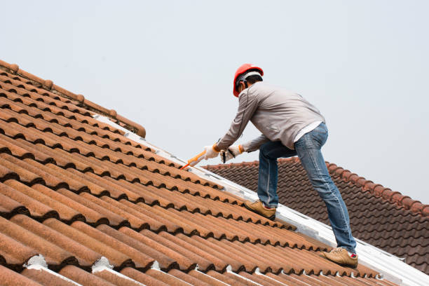 Best Emergency Roof Repair Services  in Coleman, MI
