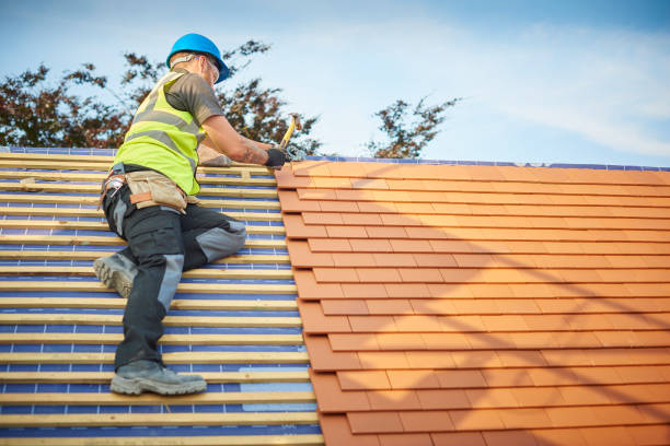 Best Rubber Roofing (EPDM, TPO)  in Coleman, MI